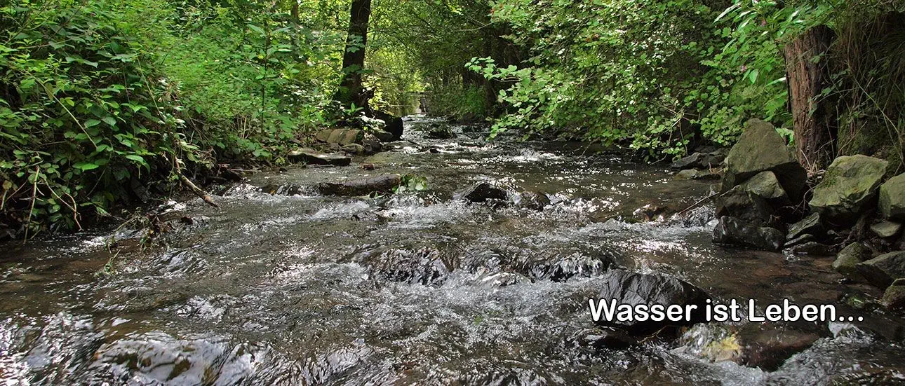 Bild von einem Fluss